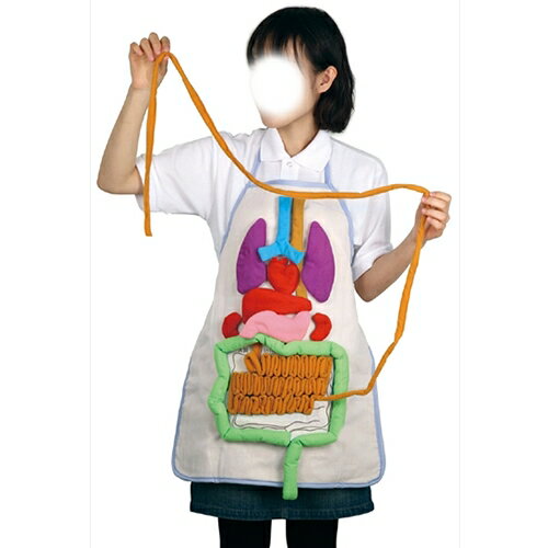 便利グッズ アイデア商品 【5個セット】 ARTEC 内臓の大きさ説明エプロン ATC8734X5 人気 お得な送料無料 おすすめのサムネイル