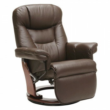 パーソナルチェア ニース DBRお得 な全国一律 送料無料 日用品 便利 ユニーク