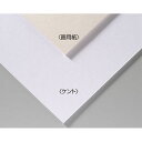 便利グッズ アイデア商品 【20個セット】 ARTEC A&Bオリジナルアートボード B4画用紙 ATC143303X20 人気 お得な送料無料 おすすめ