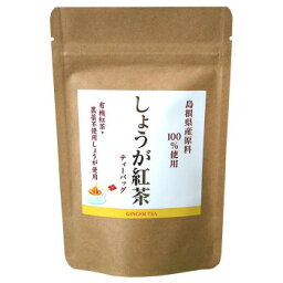 アイデア商品 面白い おすすめ 島根県産 しょうが紅茶 ティーバッグ(2g×12個入)×10セット 人気 便利な お得な送料無料