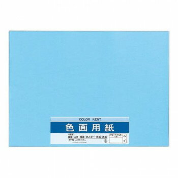 おすすめの 便利アイテム 通販 色画用紙 N431 みず 10セット Pエ-N43LB 使いやすい 一人暮らし 新生活