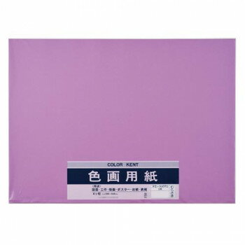 あると便利 日用品 色画用紙 N472 むらさき 10セット Pエ-N47PU おすすめ 送料無料