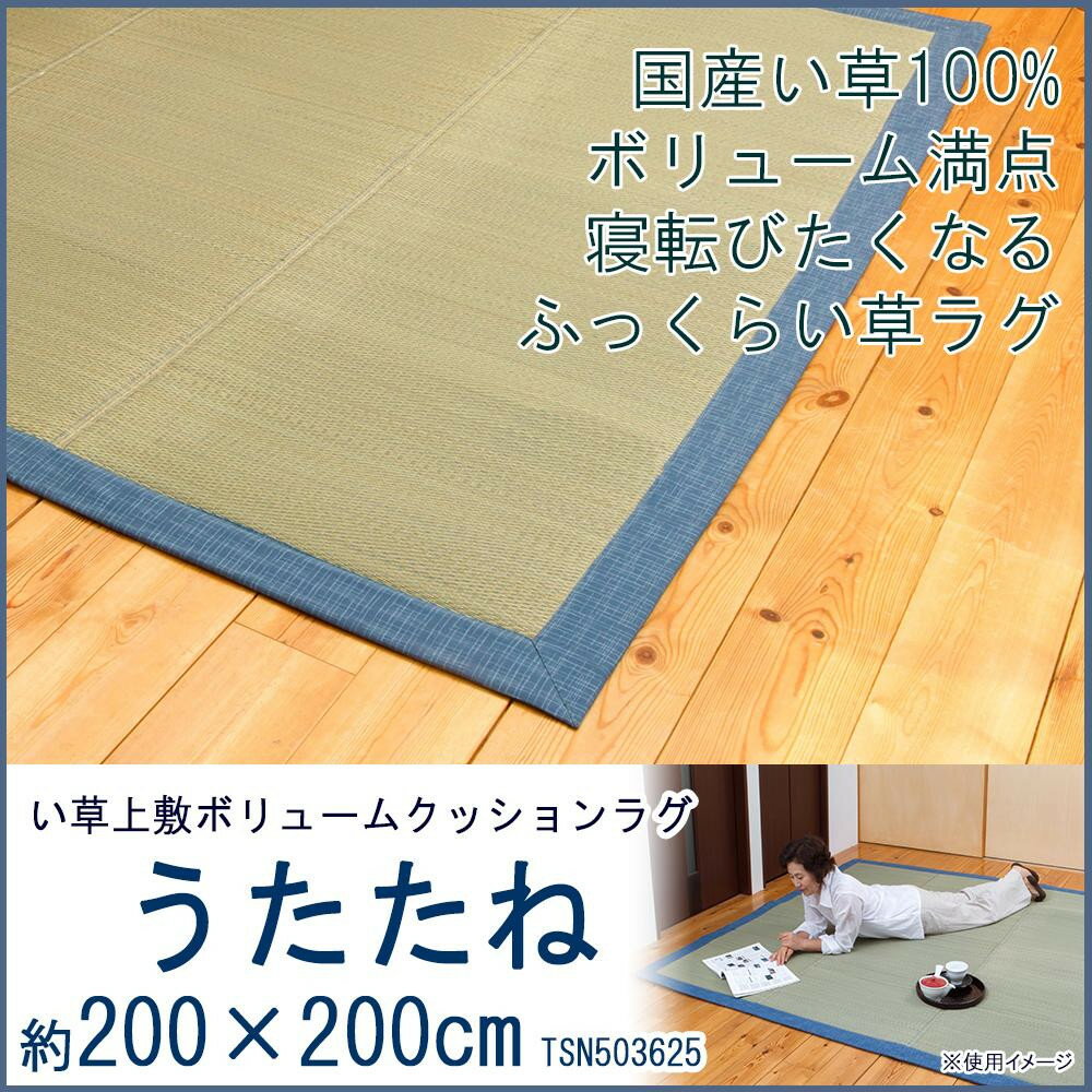 い草上敷ボリュームクッションラグ　うたたね　約200×200cm　TSN503625 寝具 布団 ベッド 冬用 夏用 | ..