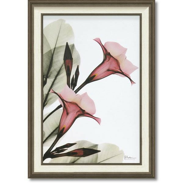 人気 おすすめ 定番 冬 お歳暮 ギフ