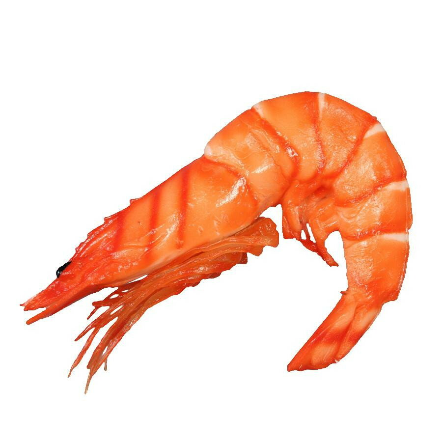 日本職人が作る 食品サンプル マグネット 祝いえび IP-823 店舗 用品 飲食 | 関連単語 店舗演出グッズ ..