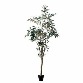 人気 おすすめ 定番 冬 お歳暮 ギフト クリスマス プレゼント オリーブツリー 80954