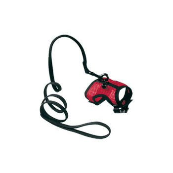 にんき 人気 おすすめ 定番 おせいぼ 冬 お歳暮 ギフト クリスマス プレゼント ファープラスト 小動物..