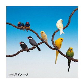 ファープラスト 鳥用組立て式止まり木 フレックス 4190 79PCS 84190799 ペット 犬 猫 キャット ドック | 関連単語 中型犬 猫用品 多機能 ゲージ シーツ 猫トイレ 飼育 しつけ用 面白い 観賞 アクアリウム アイデア商品 ペットサプリ トイレ キャットタワー 人気