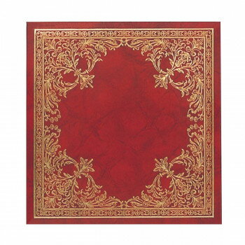 ナカバヤシ フヤスアルバム アフ-502-R