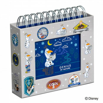 ナカバヤシ フォトランク フレームケースL アナと雪の女王2 B柄 A-FTPC-205-2