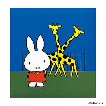 ナカバヤシ フエルアルバム コドモ ディックブルーナ S コン ア-SA-121-2