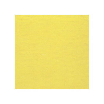 人気 おすすめ 定番 冬 お歳暮 ギフト クリスマス プレゼント 51520 マルチカバー レモン