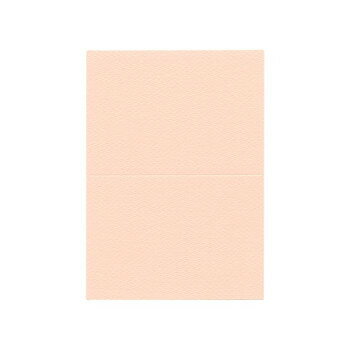 人気 おすすめ 定番 冬 お歳暮 ギフト クリスマス プレゼント PAPER PALETTE(ペーパーパレット)　A5カード　マーメイド　桜　100枚　1347500