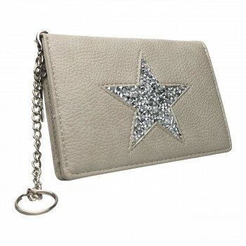 人気 おすすめ 定番 冬 新生活 ギフト 寒さ 対策 プレゼント Pisoraro(ピソラロ) スタージェリー BOXフラグメントケース ライトグレー PR03