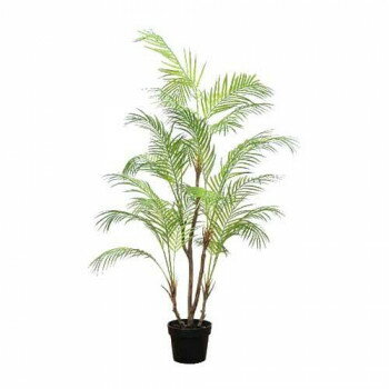 �͵� �������� ���� �� ������ ���ե� ���� �к� �ץ쥼��� 81023 �ե������ĥ꡼ ���쥫�䥷