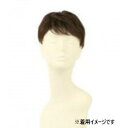 プリシラ 男性用5分ウィッグ レイヤーショート 耐熱 ダークブラウン GB-22-TDB