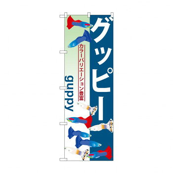 のぼり GNB-565 グッピー 店舗 用品 飲食 | 関連単語 店舗演出グッズ メニュー立て板 接客用品 コース..