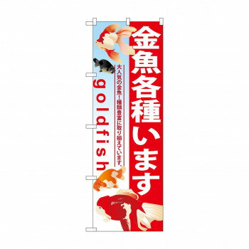 のぼり GNB-581 金魚各種います 店舗 用品 飲食 | 関連単語 名札 メニュー黒板 受付ボード 飲食店チェ..