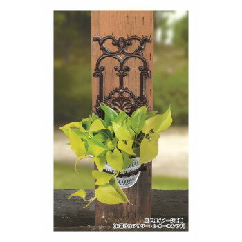 �ˤ� �͵� �������� ���� �� �� ¹ �� ������ ���ե� ���� �к� �ץ쥼��� �ե��ϥ󥬡� 85353