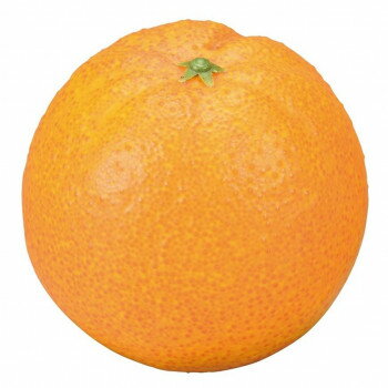 お供え果実 オレンジ 57e1000000012