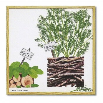 モダン キャンバスアート ハーブ コレクション「ミニバジル アンド ディル」 Sサイズ YP-02024