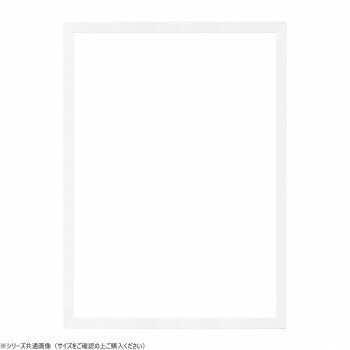 大額　パネルフレーム　カラーパネル(5906)　B4　ホワイト　UVペット