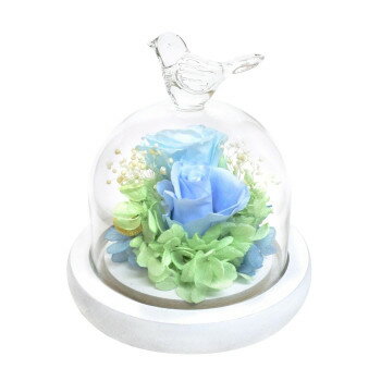 にんき 人気 おすすめ 定番 冬 春 孫 冬 新生活 ギフト 寒さ 対策 プレゼント ガラスドームアレンジメント　プリザーブドフラワー　バード　ブルー　B33750