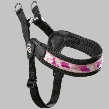 �ʥڥåȡ� TRE PONTI �ե��åӥ��������㥹���֥륿���ס��ڥˡ����쥯����� �ԥ󥯥��� 2�� LTP127 �ڥå� �� ǭ ����å� �ɥå� | ��Ϣ...