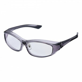 人気 おすすめ 定番 冬 お歳暮 ギフト クリスマス プレゼント スカット デラックス ファイテンパッド付..