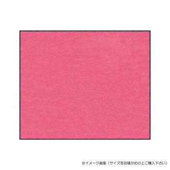 にんき 人気 おすすめ 定番 冬 春 孫 冬 新生活 ギフト 寒さ 対策 プレゼント (クリーンテックス) スタンダードマットS ピンク 45×75 cm