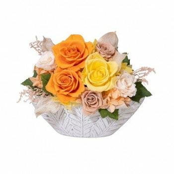 �ˤ� �͵� �������� ���� �� �� ¹ �� ������ ���ե� ���� �к� �ץ쥼��� �ե������ �����ͥ롼 ����� F-6117