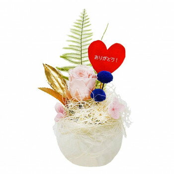 人気 おすすめ 定番 冬 お歳暮 ギフト クリスマス プレゼント A＆K 日本製プリザーブドフラワー ころん..