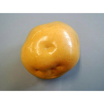 日本職人が作る 食品サンプル　じゃがいも　IP-360 店舗 用品 飲食 | 関連単語 名札 メニュー黒板 受付ボード 飲食店チェア テーブル脚 メニュースタンド アイスペール 伝票差し ペン立て 配膳トレイ 片手鍋 店名プレート 商品名札 鍋敷き ゴミステーション