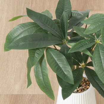 不二貿易 (C/D:41128) フェイクグリーン パキラ セラミックポット 家具 収納 ラック | 関連単語 ベンチ収納 ハンガーラック カラーボックス ワゴン チェスト 壁面収納 隙間収納 収納棚 書類ラック オープンラック キャビネット マガジンラック キッチンラック [2]