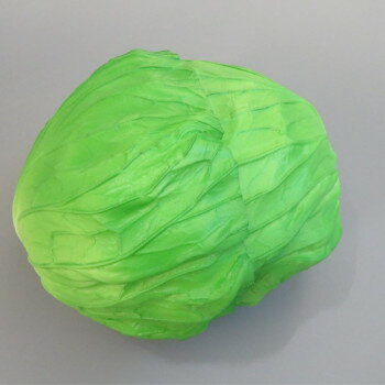 日本職人が作る 食品サンプル 新鮮・キャベツ IP-247 店舗 用品 飲食 | 関連単語 飲食店グッズ テーブ..