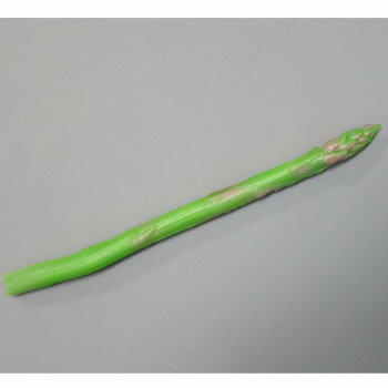 日本職人が作る 食品サンプル アスパら(1本) IP-258 店舗 用品 飲食 | 関連単語 店舗照明 収納ケース ..