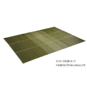 人気 おすすめ 定番 冬 新生活 ギフト 寒さ 対策 プレゼント カーペット い草ボリュームラグ クリア 190×250cm グリーン 1070480124203 家具 収納 照明 | 関連単語 おしゃれ アイディア 便利 リビング 寒さ 対策 玄関 コード 整理 バス 補助器具 ベッド