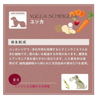 サンプル画像2