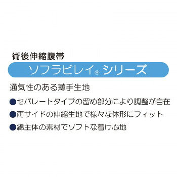 創造生活館の人気 おすすめ 定番 冬 新生活 ギフト 寒さ 対策 プレゼント ソフラビレイ 内さらし付 S 040552｜アングル3