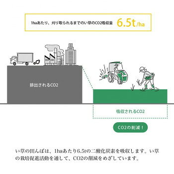 人気 おすすめ 定番 冬 新生活 ギフト 寒さ 対策 プレゼント イ草リース い草 置物 20Rcm 1370350015108 インテリア | 関連単語 絵 一人暮らし 木製 シンプル 観葉植物 ラグ ソファ 北欧 テーブル チェア 壁掛け スツール 韓国風 クッション ナチュラル [3]