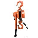ベスト・アンサー レバーホイスト 1t 1.5m 2台セット チェーンブロック 041