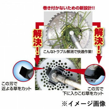 �͵� �������� ���� �� ������ ���ե� ���� �к� �ץ쥼��� ��ǥ��������� ��� ���դ��ɻ߿� 25.4�� 1050