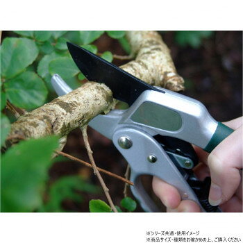 サンプル画像3