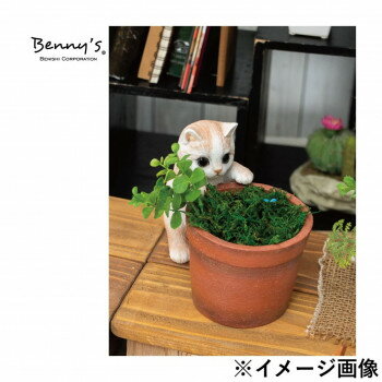 Benny's ベニーズキャット QB-031BR インテリア | 関連単語 モダン シンプル ナチュラル 北欧 韓国風 おしゃれ ベッド ソファ 照明 ラグ マット 観葉植物 クッション ミラー チェア テーブル サイドテーブル 壁掛け 時計 フロアライト ポスター 棚 ファブリック [2]