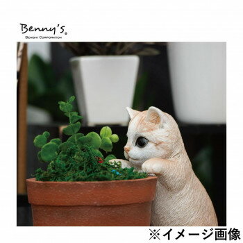 Benny's ベニーズキャット QB-031BR インテリア | 関連単語 モダン シンプル ナチュラル 北欧 韓国風 おしゃれ ベッド ソファ 照明 ラグ マット 観葉植物 クッション ミラー チェア テーブル サイドテーブル 壁掛け 時計 フロアライト ポスター 棚 ファブリック [3]