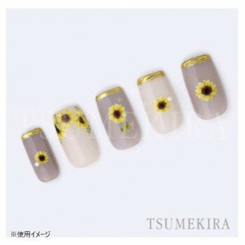 �͵� �������� ���� �� ������ ���ե� ���� �к� �ץ쥼��� TSUMEKIRA(�ĥᥭ��) �ͥ��륷���� ʡ�����ߥץ��ǥ塼�� �Ҥޤ�� petit NN-FKO-001 �� ���� ��� | ��Ϣñ�� ���� ���� �֥饷 �ݡ��� ���դ� ��Ȥ� ���å� ���å� ������ �����顼