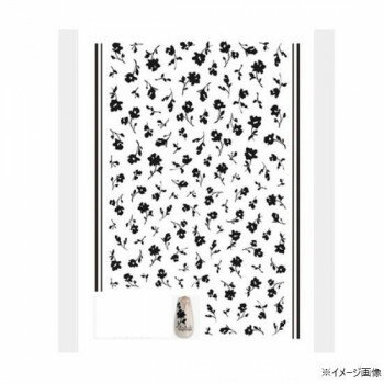 TSUMEKIRA(ツメキラ) ネイルシール effrontee kyokoプロデュース ジャルダン ブラック NN-EFK-016 健康..