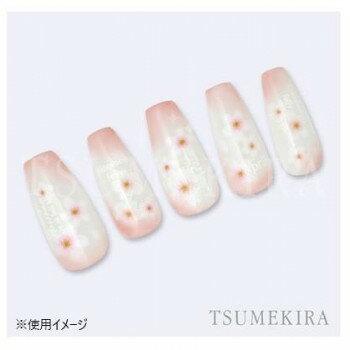 �͵� �������� ���� �� ������ ���ե� ���� �к� �ץ쥼��� TSUMEKIRA(�ĥᥭ��) �ͥ��륷���� ������10 NN-SKR-010 �� ���� ��� | ��Ϣñ�� �ե����� ������ ���� ������ ��� ���ѿ� ������ ���� ������ ���ץ졼 ���Ʊ� ����� ���� ���� �֥饷