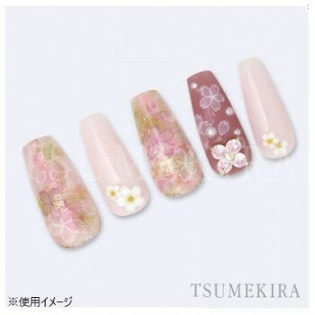 �͵� �������� ���� �� ������ ���ե� ���� �к� �ץ쥼��� TSUMEKIRA(�ĥᥭ��) �ͥ��륷���� ���餷���ߺ�2 NN-SKR-011 �� ���� ��� | ��Ϣñ�� ���ץ졼 ���Ʊ� ����� ���� ���� �֥饷 �ݡ��� ���դ� ��Ȥ� ���å� ���å� ������ �����顼