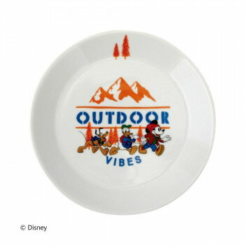 ディズニー ミッキー＆フレンズ プレート D-MF70 52788 キャラクター グッズ アイディア 雑貨 おしゃれ..